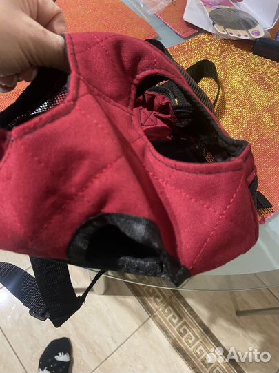 Кенгуру для собак, кошек