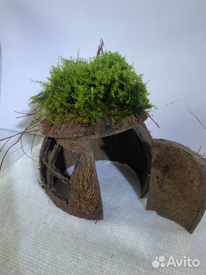 Кокосовый домик в аквариум (террариум)