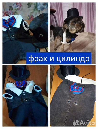 Товары для животных