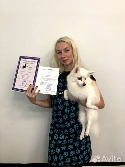 Груминг, стрижка собак и кошек