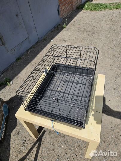 Клетка