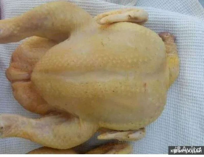 Мясо бройлера,утки