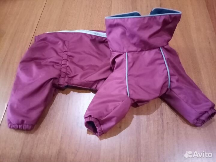 Одежда для собак