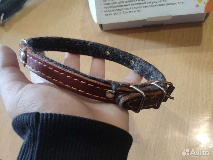 Амуниции для собак