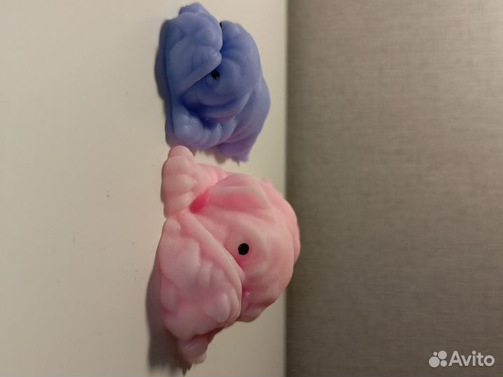 Мопсы сквиш