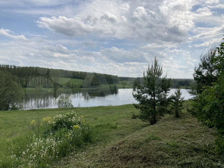 Участок 19 сот. (СНТ, ДНП)