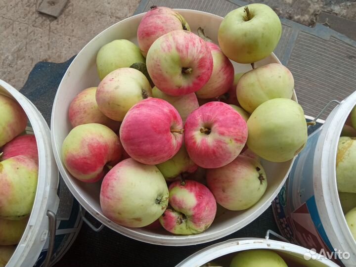 Яблоки красные, зелёные