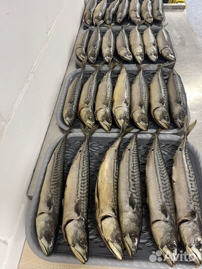 Скумбрия холодного копчения