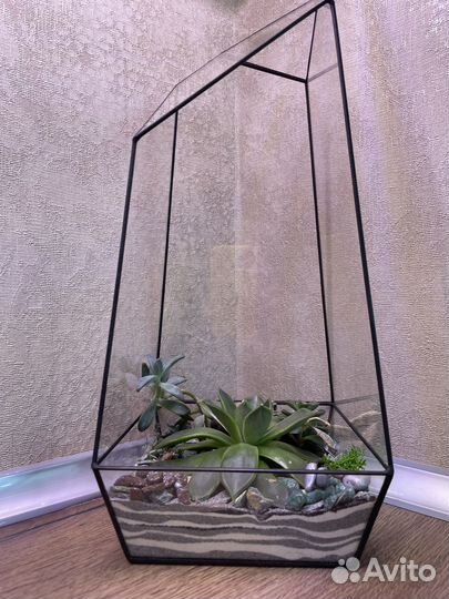 Интерьерный флорариум