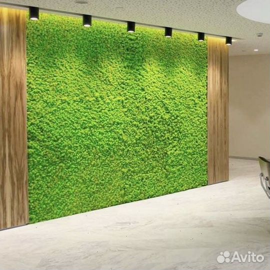 Нежное панно из мха для вашего интерьера Арт: 435695