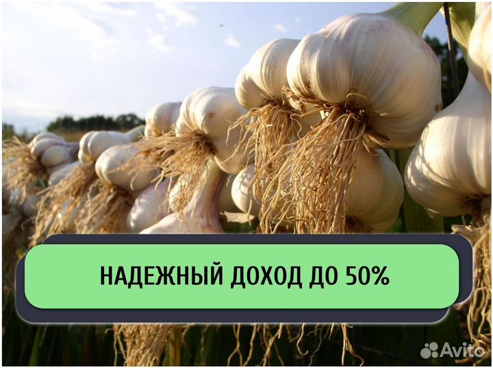 Инвестор в готовый бизнес / Поиск инвестора