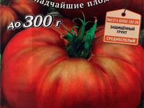 Поиск томат Бизон черный пл до 300г 10шт