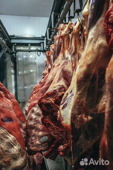 Мясо опт розница