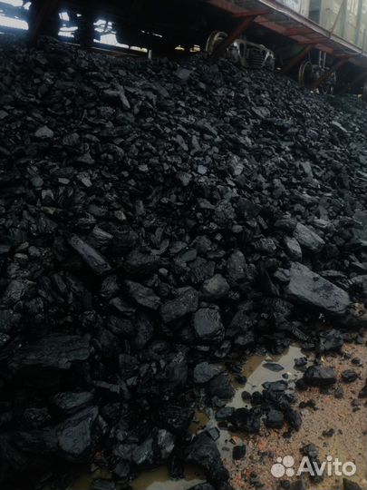 Дрова из лучших пород дерева для вашего очага