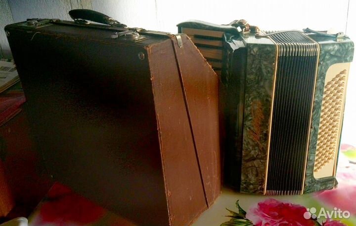 Аккордеон с футляром