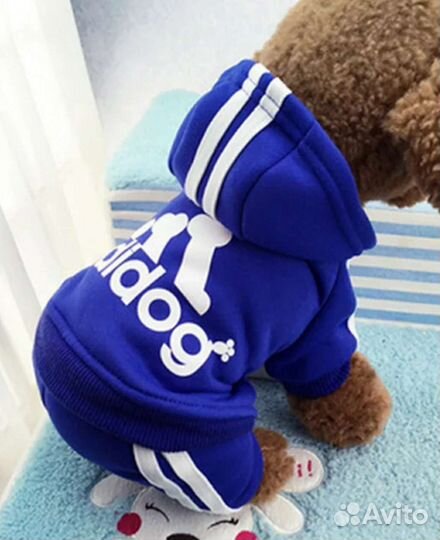 Одежда для собак мелких пород или кошек