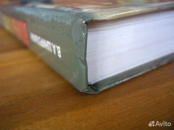 Шнирельман. Войны памяти. Закавказье