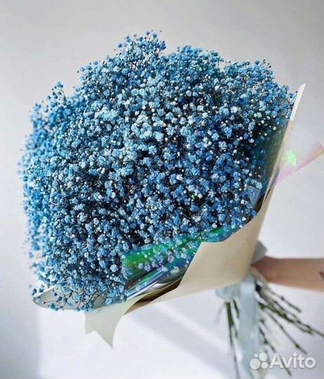 Букет из гипсофилы