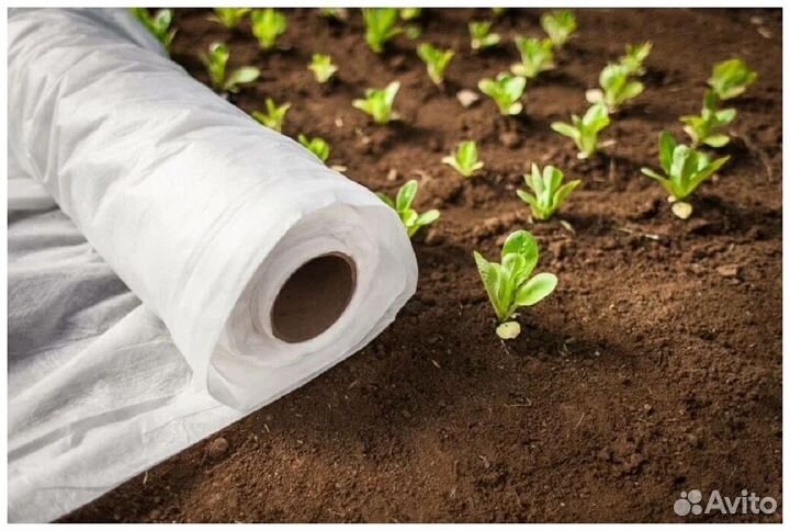 Укрывной материал для растений Novatex Спанбонд 30