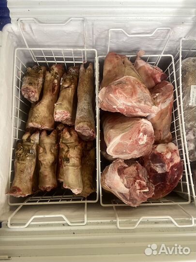 Корм для животных