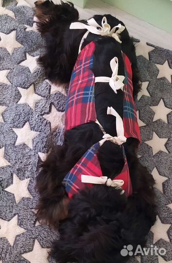 Попона для собак послеоперационная