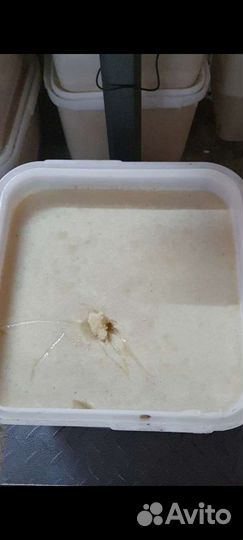 Липовый мёд 2022 из Башкирии