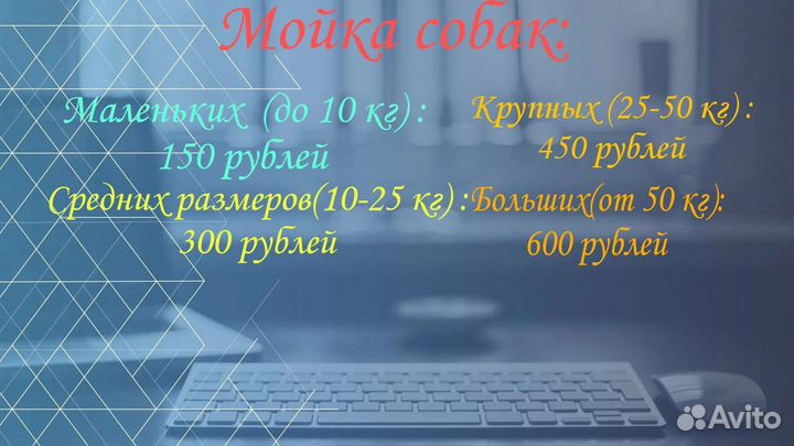 Выгул собак. Уход за собачками. Догситтер