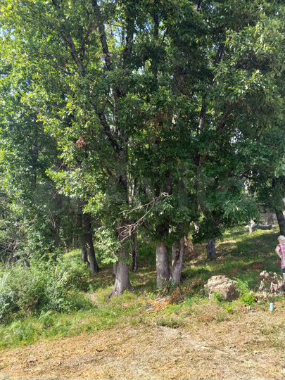 Участок 4 сот. (ИЖС)