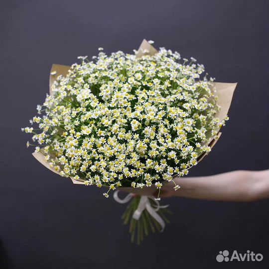 Букет из ромашек 11 21 31 41 51 101