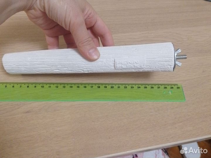 Домашние животные птицы