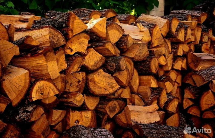 Дрова без гнили