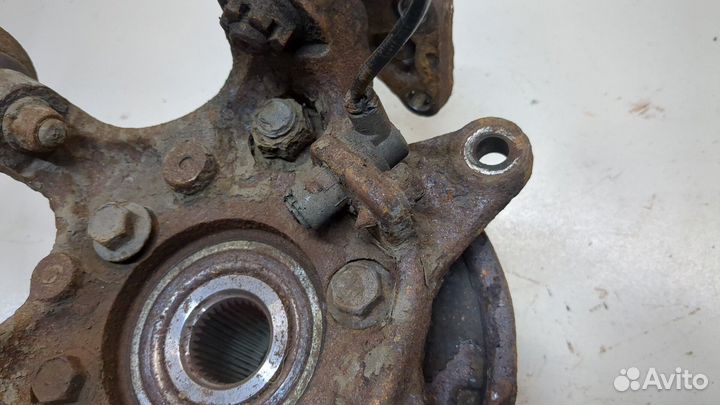 Ступица (кулак, цапфа) Mitsubishi Pajero, 2007