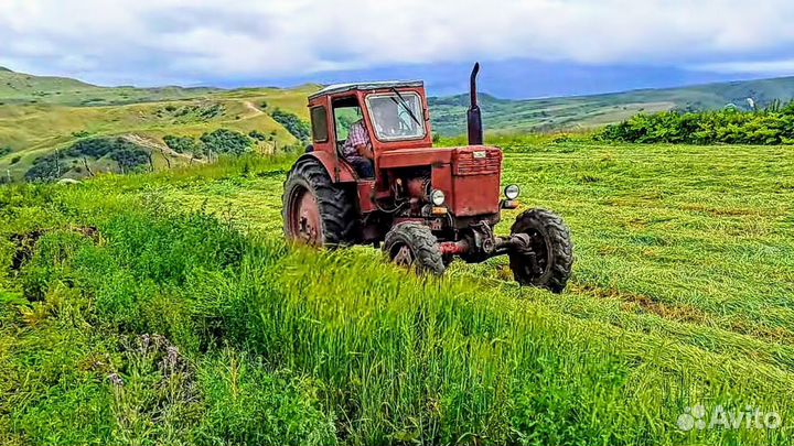 Трактор ЛТЗ Т-40, 1995