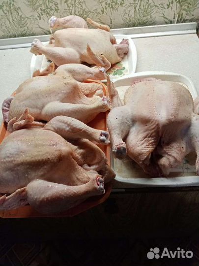 Продам мясо птицы