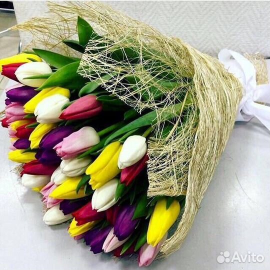 Цветы тюльпаны
