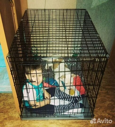 Клетка для собак