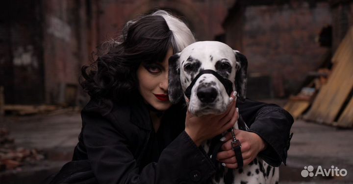 Фотосессия с долматином