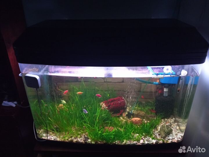 Аквариум 120 литров