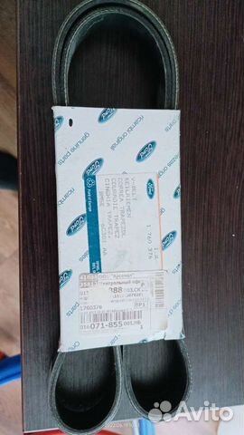 Ремень приводной focus 2