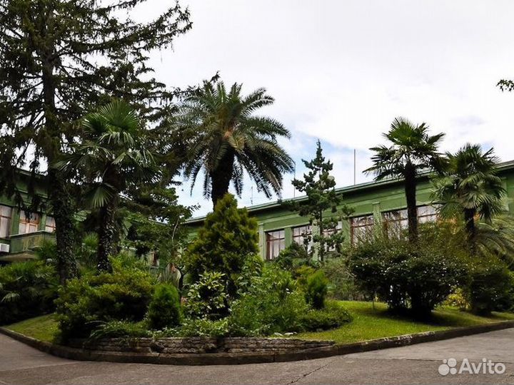 Экскурсия — Сочи — Авторская экскурсия «Сочи иСтал