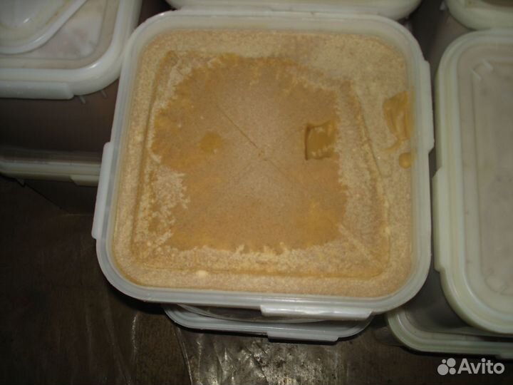 Мёд цветочный 2023 год