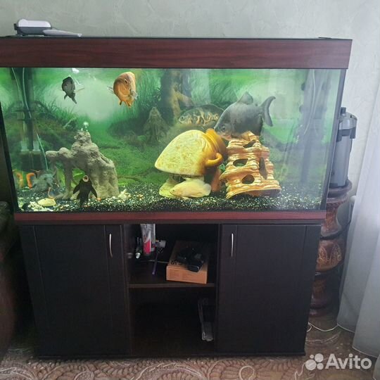 Продам аквариум с тумбой (возможно отдельно)