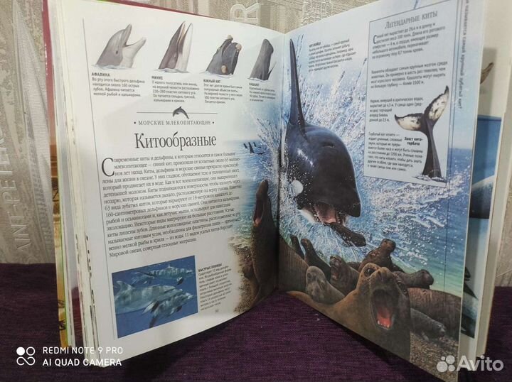 Энциклопедия для детей