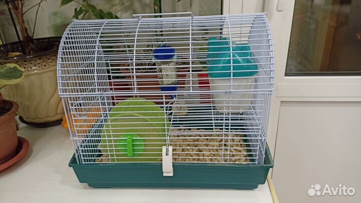 Клетка для джунгарского хомяка