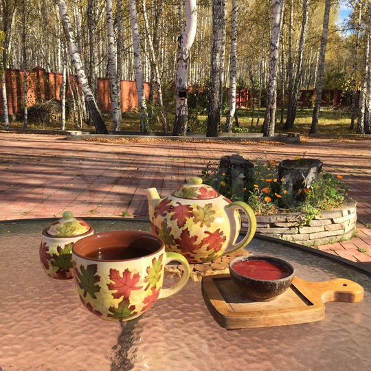 Дом 600 м² на участке 100 сот.