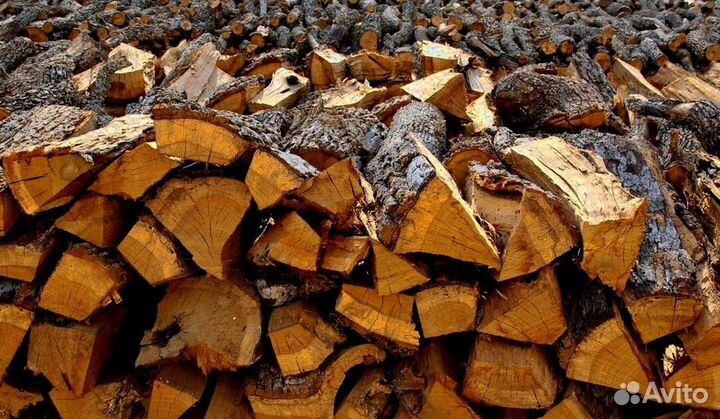 Дрова которые горят