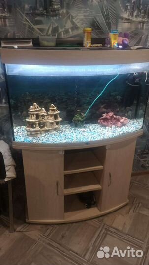 Аквариум