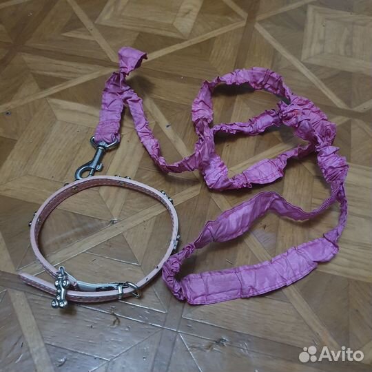 Светящийся ошейник для собак и поводком