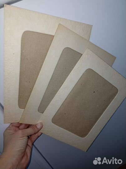 Паспарту СССР из картона