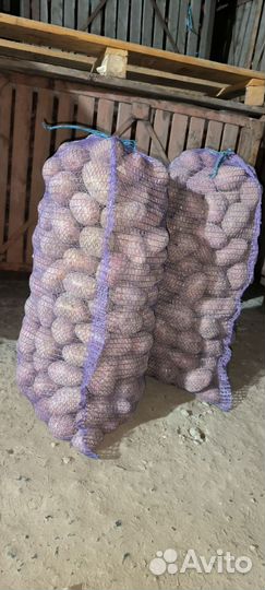 Продам картофель